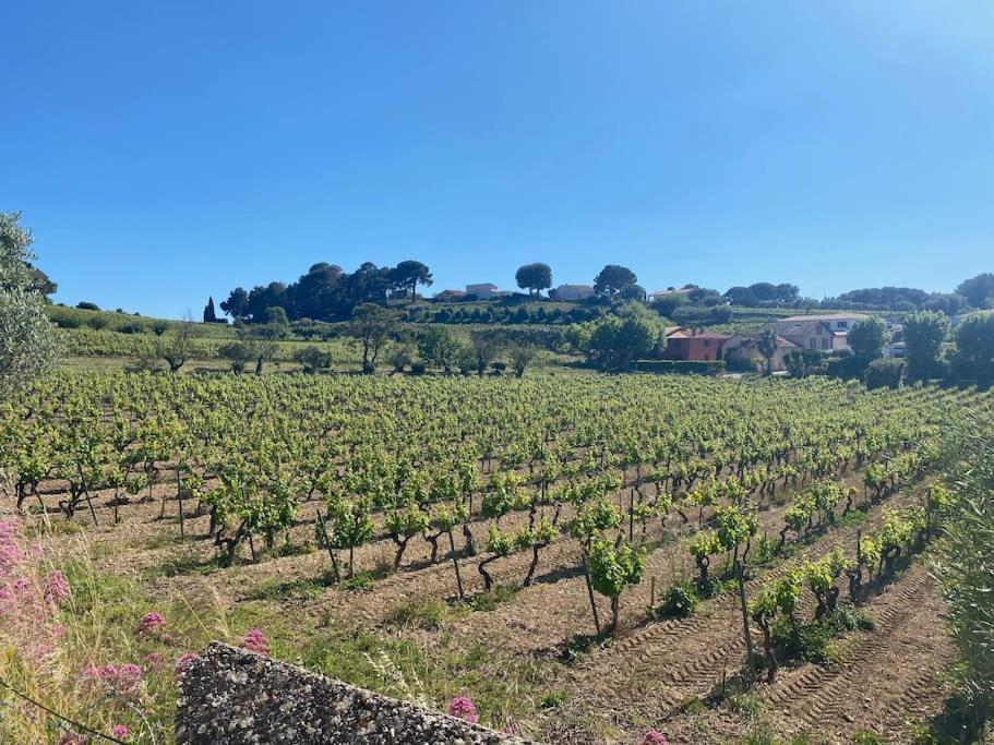La Restanque Cassis Villa Exteriör bild